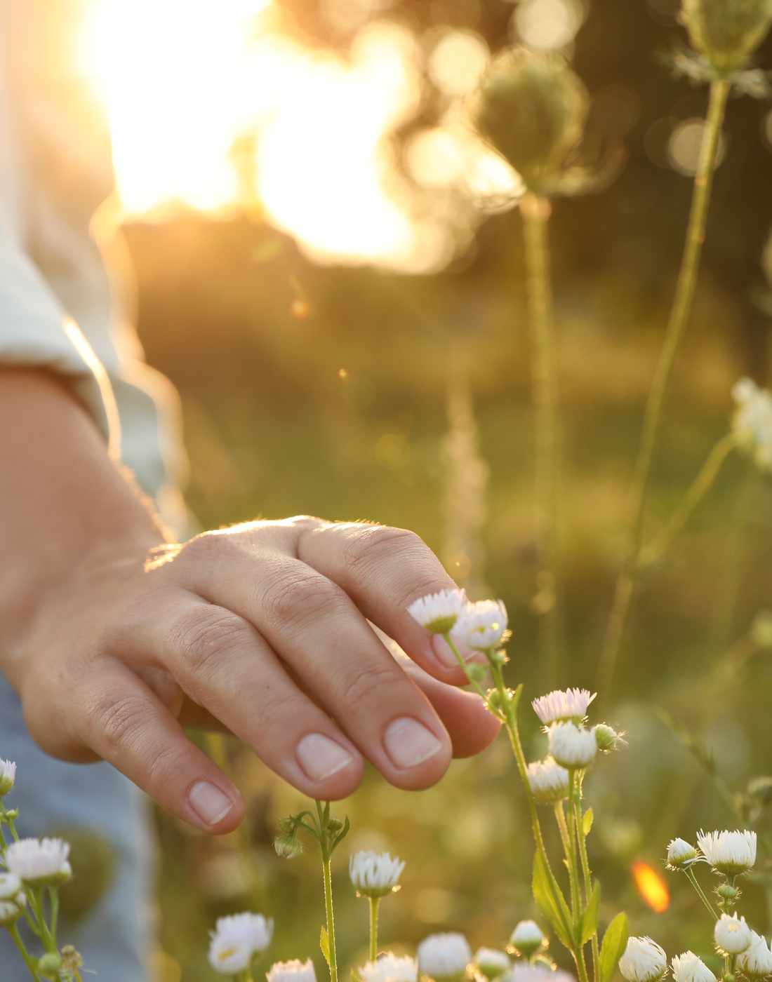 Basisleistungen Hausarzt