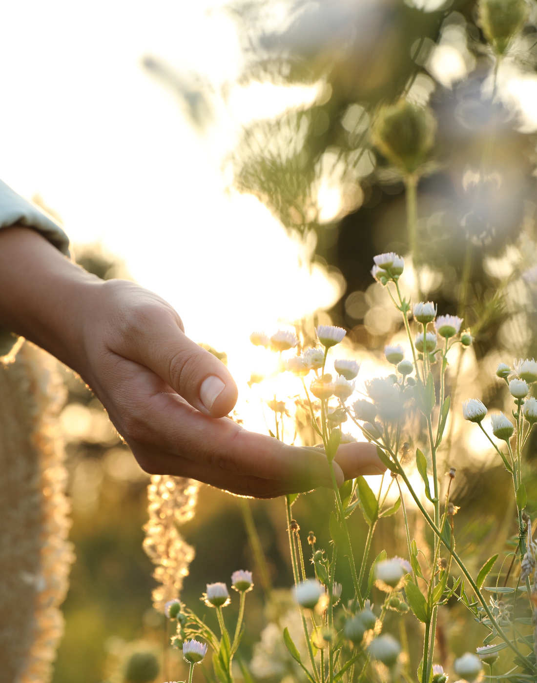 IGEL Leistungen Hausarzt