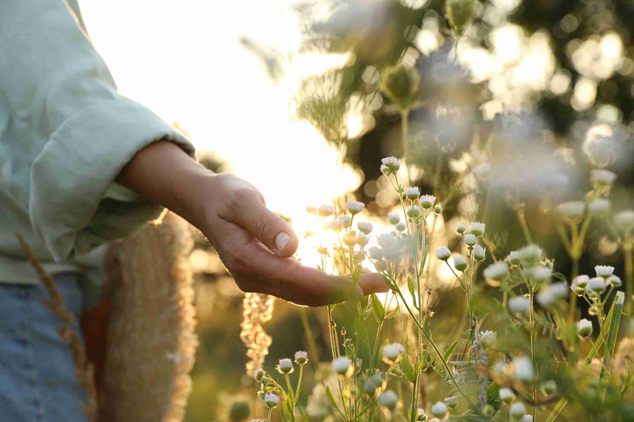 IGEL Leistungen Hausarzt